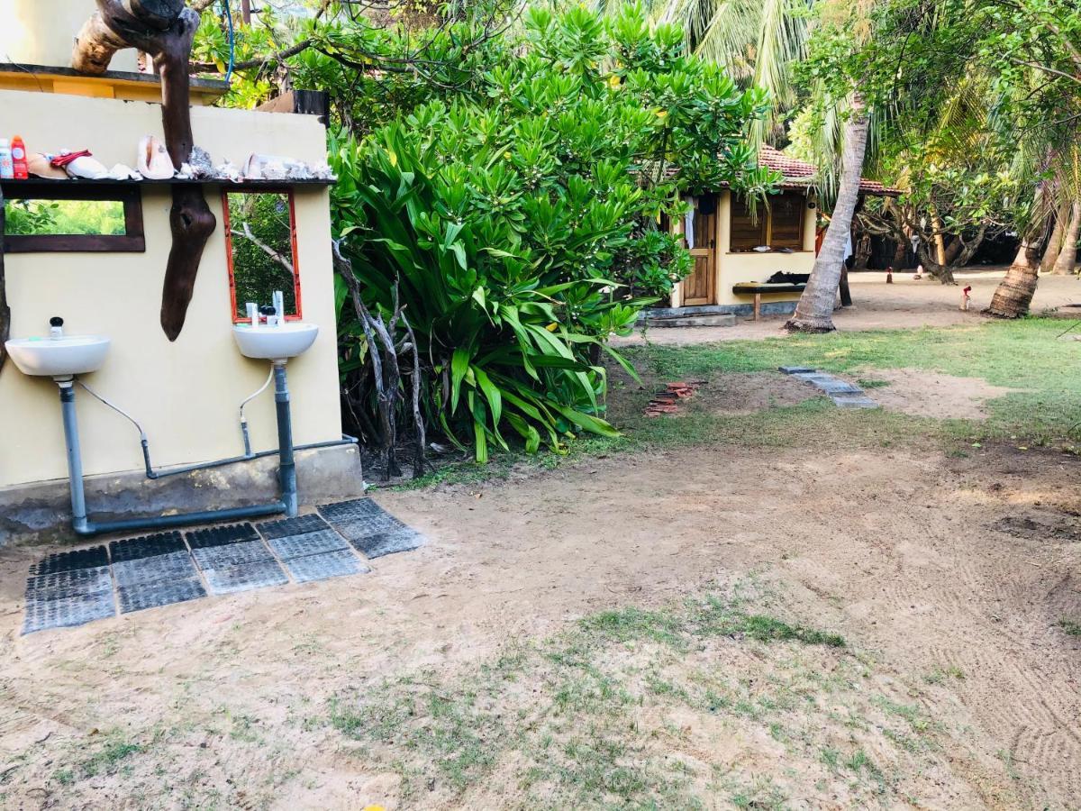 Bed and Breakfast Kite House Cafe Kalpitiya Exterior foto