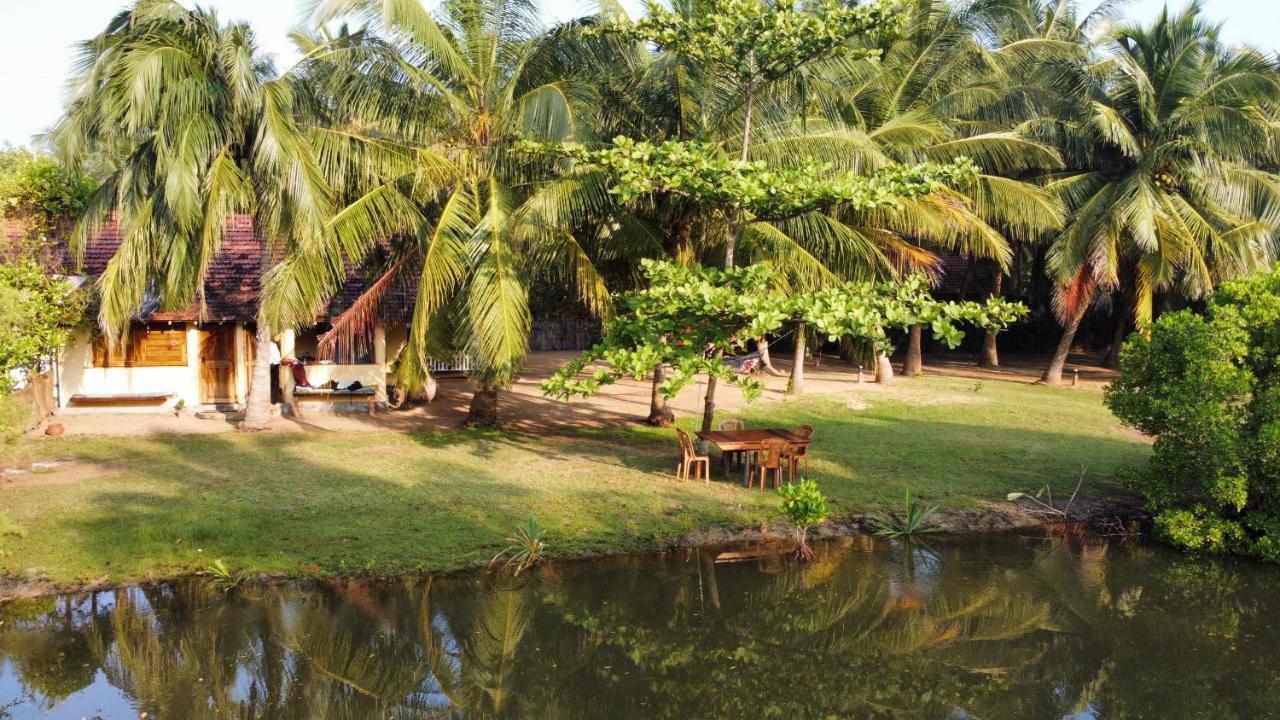 Bed and Breakfast Kite House Cafe Kalpitiya Exterior foto