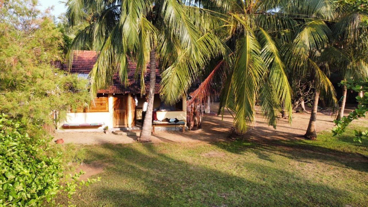 Bed and Breakfast Kite House Cafe Kalpitiya Exterior foto