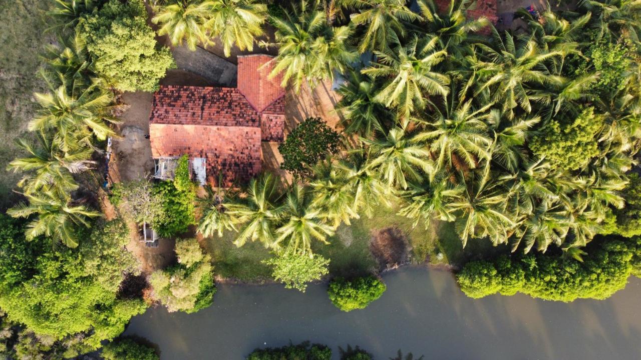 Bed and Breakfast Kite House Cafe Kalpitiya Exterior foto