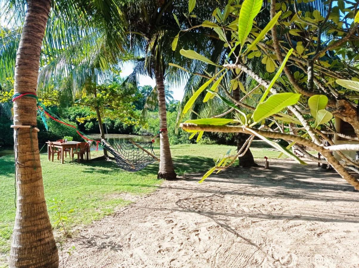 Bed and Breakfast Kite House Cafe Kalpitiya Exterior foto