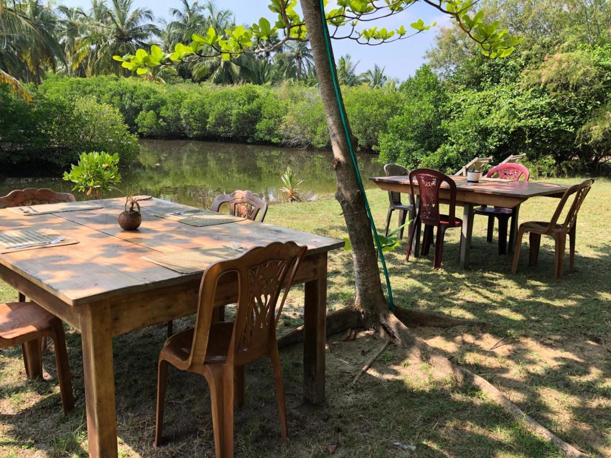 Bed and Breakfast Kite House Cafe Kalpitiya Exterior foto