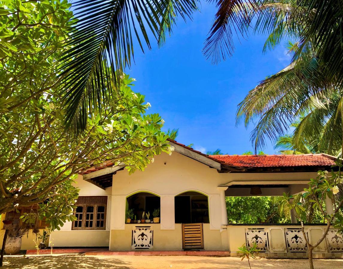 Bed and Breakfast Kite House Cafe Kalpitiya Exterior foto